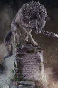 Wolfswood (Dark Souls SI Sif)