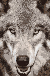 Wolfbane