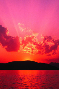 Transmigration Blues