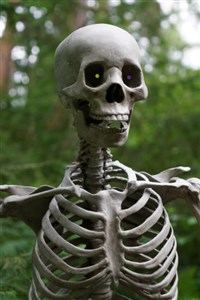 Adventure of a Skeleton Undead
