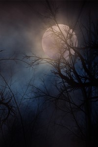 Thoughts Tinged Crimson