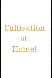 Cultivation at Home!?00