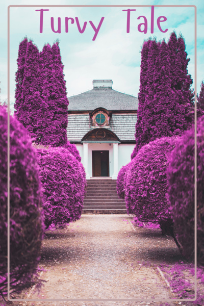 Turvy Tale