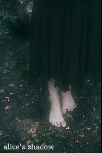 Alice's Shadow