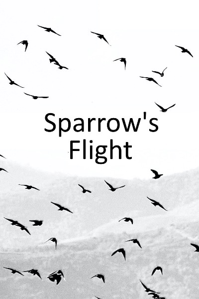 Sparrow's Flight