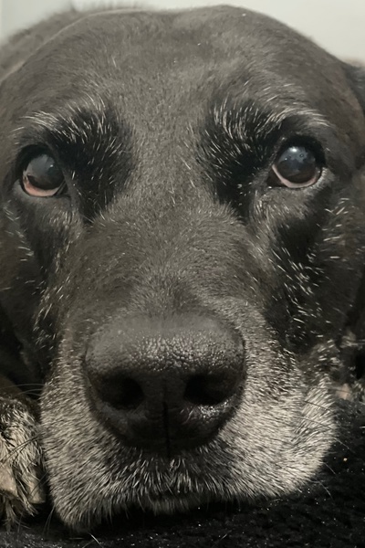 The Legacy of Humanity: From Earth’s End to ….