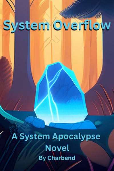 System Overflow